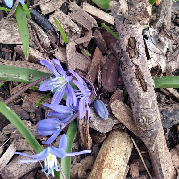 Meet your Posher, Katherine - Picture 1 of 1